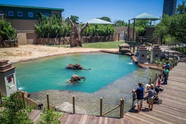Houston Zoo